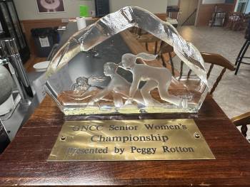 a_winner_trophy2.jpg
